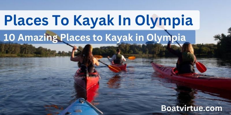 Places To Kayak In Olympia